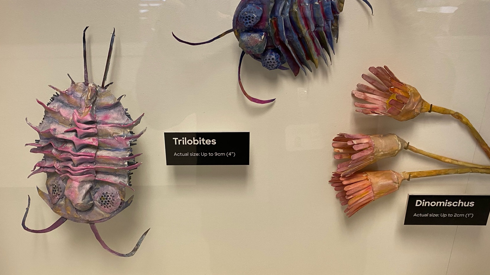 Paper sculptures of creatures from the Cambrian era