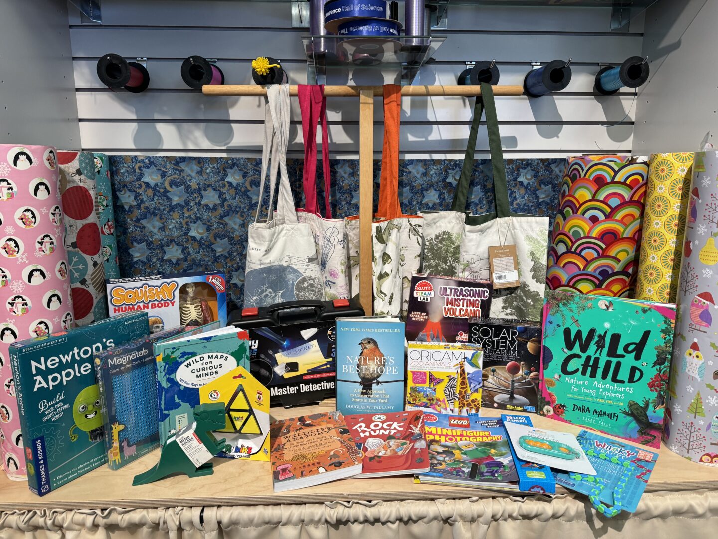 Products from our 2023 Holiday Gift Guide arrayed on a shelf in the Discovery Store