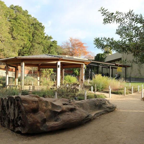 The Outdoor Nature Lab