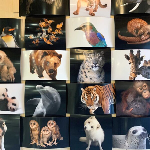 Celebrating Nature's Diversity Photo Wall exhibit