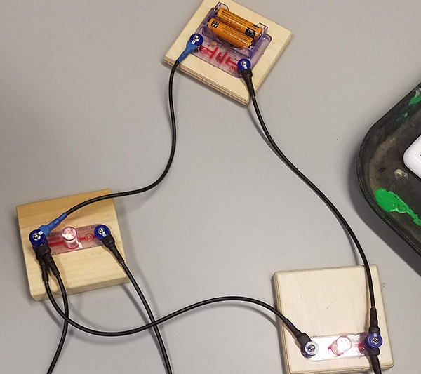 A circuit science activity