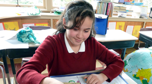 A student sitting at a desk in a classroom is working on a science activity
