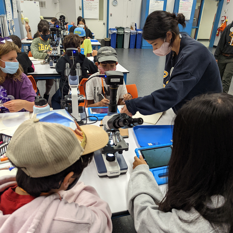 A group of students are participating in a STOBE activity