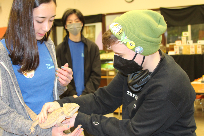A volunteer is holding a lizard and showing it to a student.