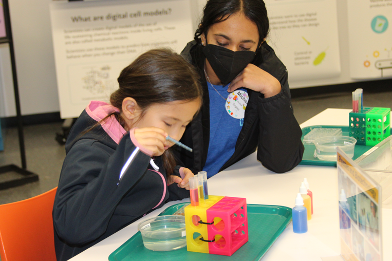 A volunteer works with a child on testing liquids during a science activity
